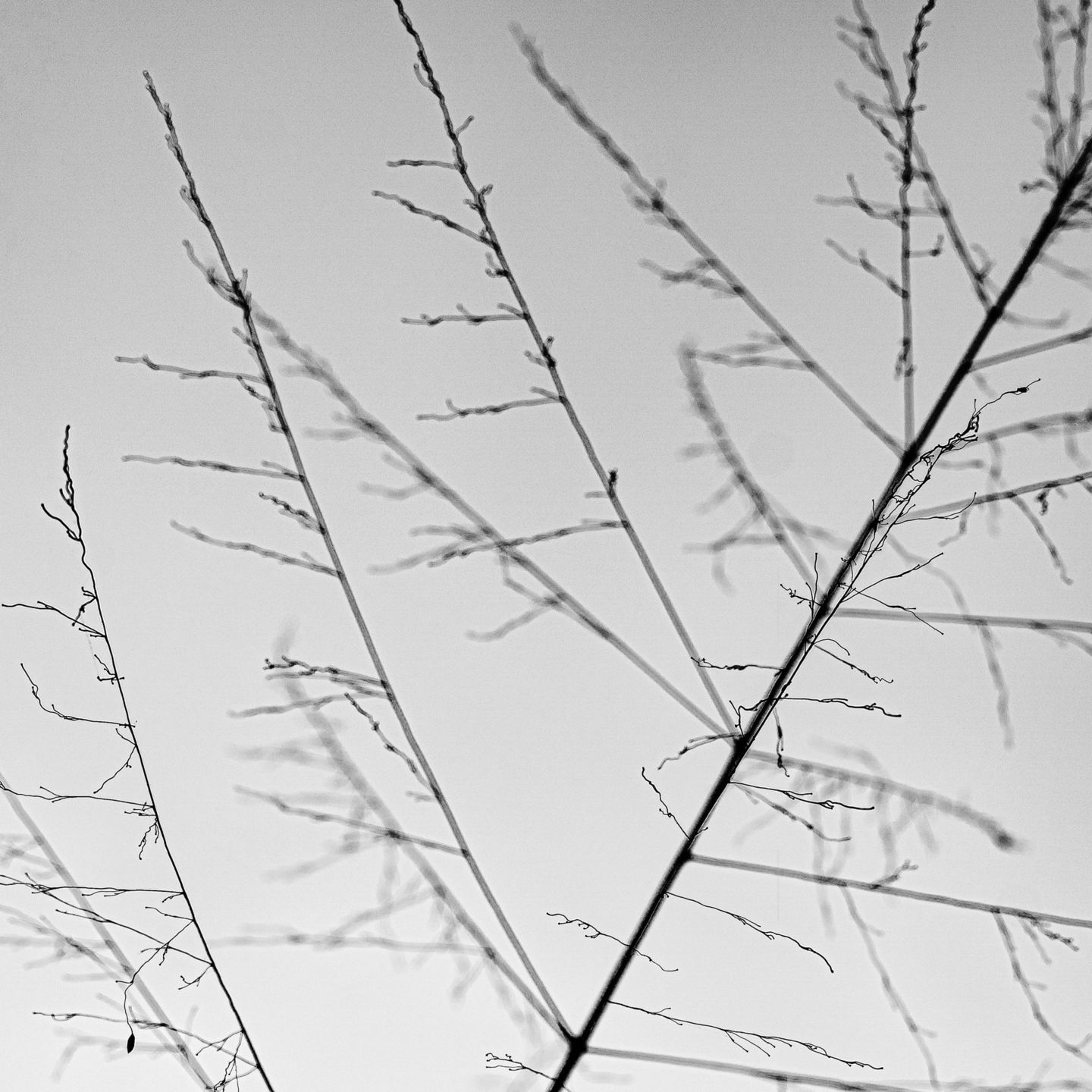 Detalhes... Detalhes...