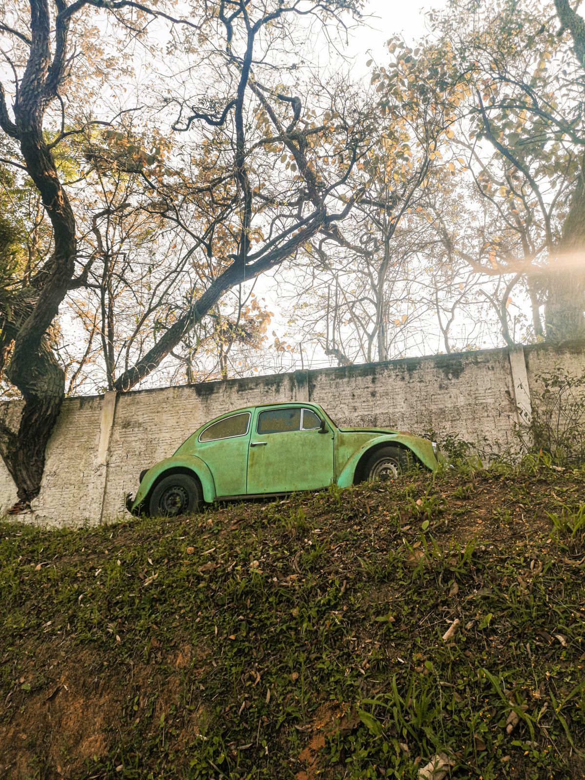 Foto Fusca abandonado... Foto Fusca abandonado... - Imagem 0